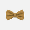 Broden Glitter Bow Tie