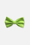 Ben Solid Bow Tie
