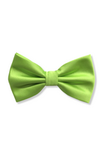 Ben Solid Bow Tie