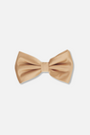 Ben Solid Bow Tie