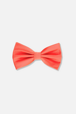 Ben Solid Bow Tie