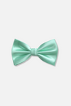 Ben Solid Bow Tie