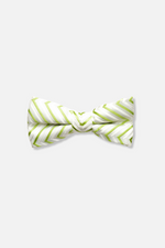 Seneca Striped Bow Tie