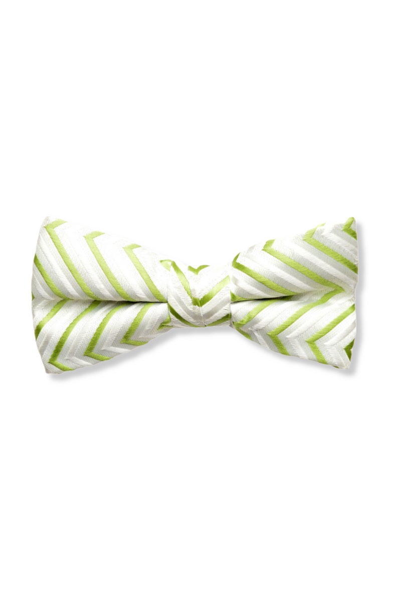 Seneca Striped Bow Tie