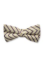 Seneca Striped Bow Tie
