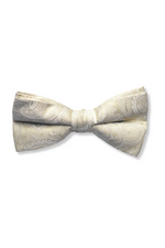 Stuart Paisley Bow Tie