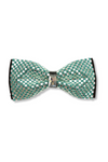 Benito Rhinestone Bow Tie