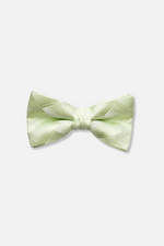Stephon V Bow Tie