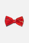 Everardo Floral Bow Tie