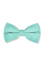 Baris Solid Clip Bow Tie
