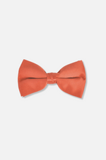 Baris Solid Clip Bow Tie