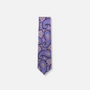 Tavio Paisley Silk Tie