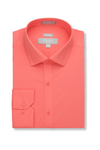 Pacifico Slim Stretch Dress Shirt