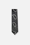 Darnell Classic Paisley Tie