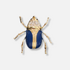 Brody Beetle Lapel Pin Brooch