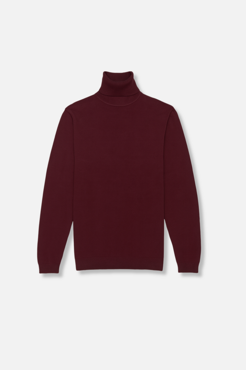 Donnie Turtleneck Sweater