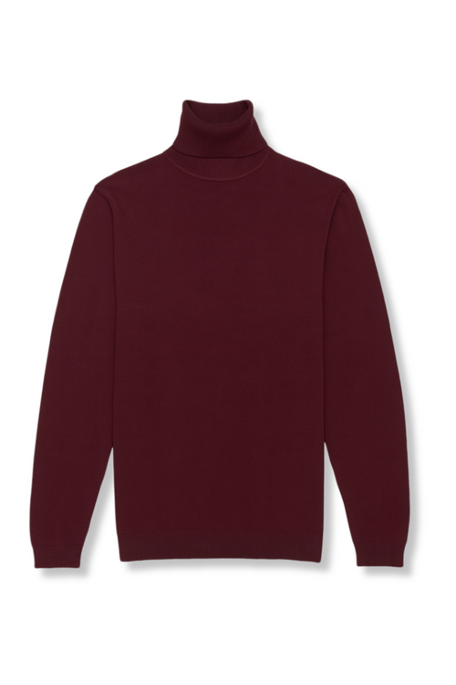 Donnie Turtleneck Sweater