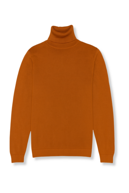 Donnie Turtleneck Sweater