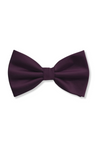 Ben Solid Bow Tie