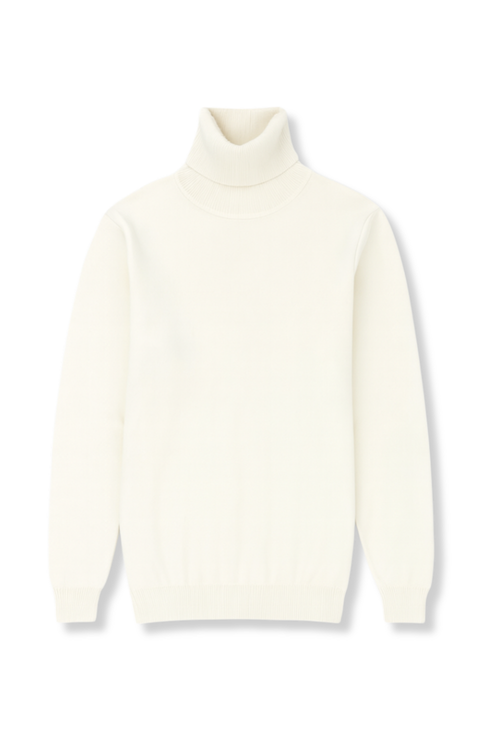 Donnie Turtleneck Sweater