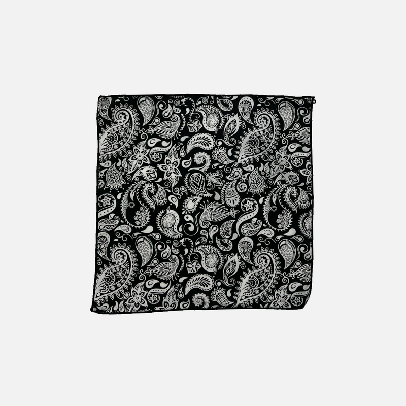 Baisley Paisley Pocket Square