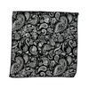 Baisley Paisley Pocket Square