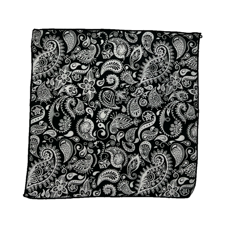 Baisley Paisley Pocket Square