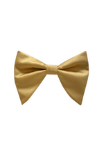 Brandon Long Bow Tie