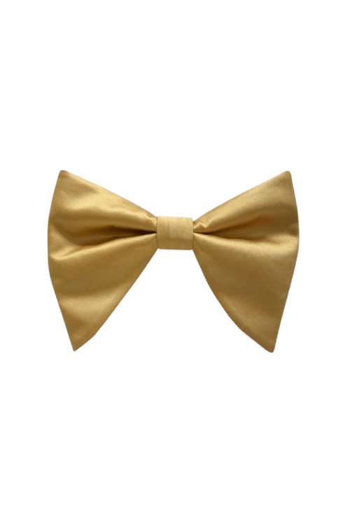 Brandon Long Bow Tie
