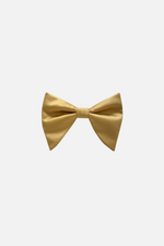 Brandon Long Bow Tie