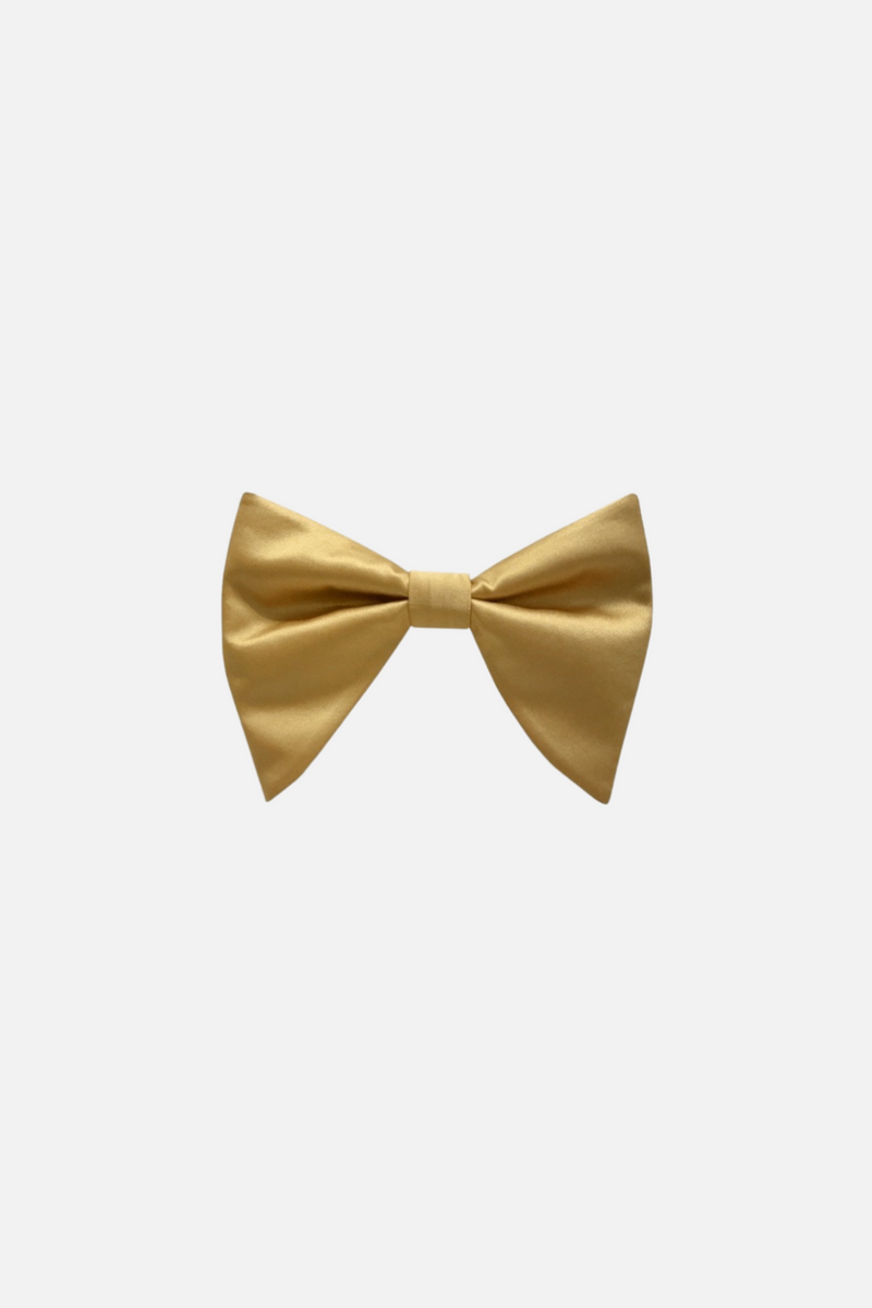 Brandon Long Bow Tie