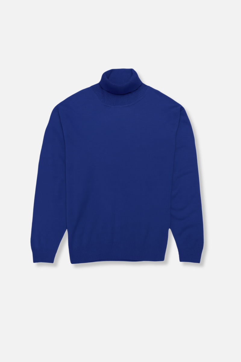 Dane Turtleneck Sweater