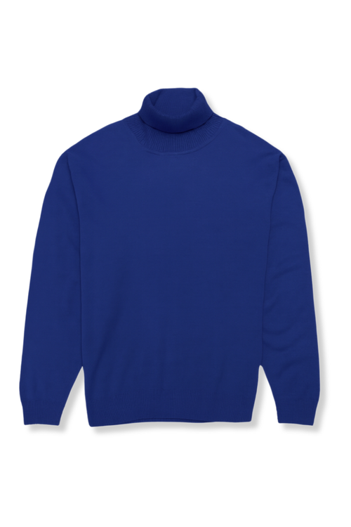 Dane Turtleneck Sweater