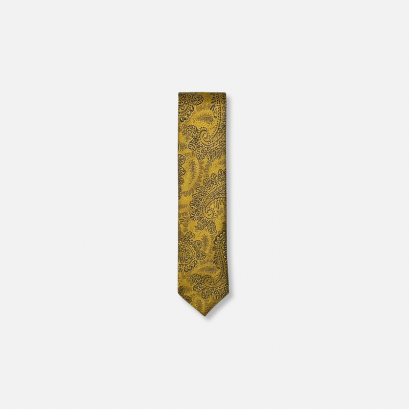 Daron Classic Paisley Tie