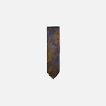 Damaso Classic Paisley Tie