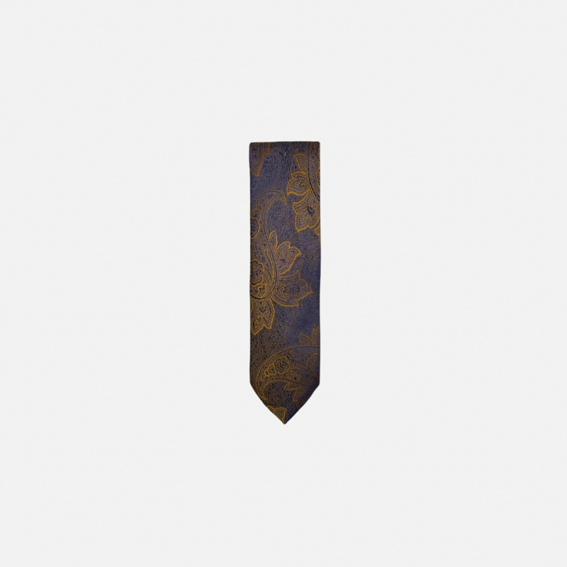 Damaso Classic Paisley Tie