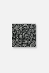 Baisley Paisley Pocket Square