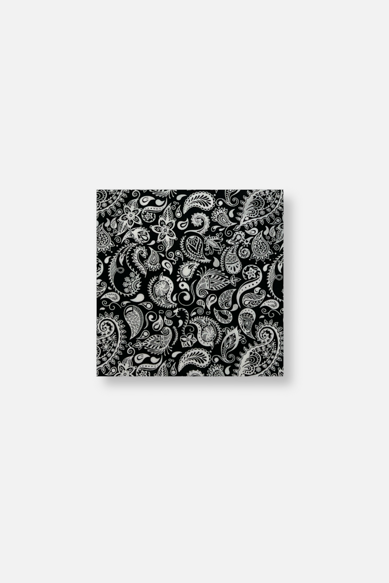 Baisley Paisley Pocket Square