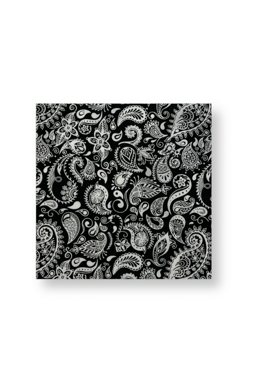 Baisley Paisley Pocket Square