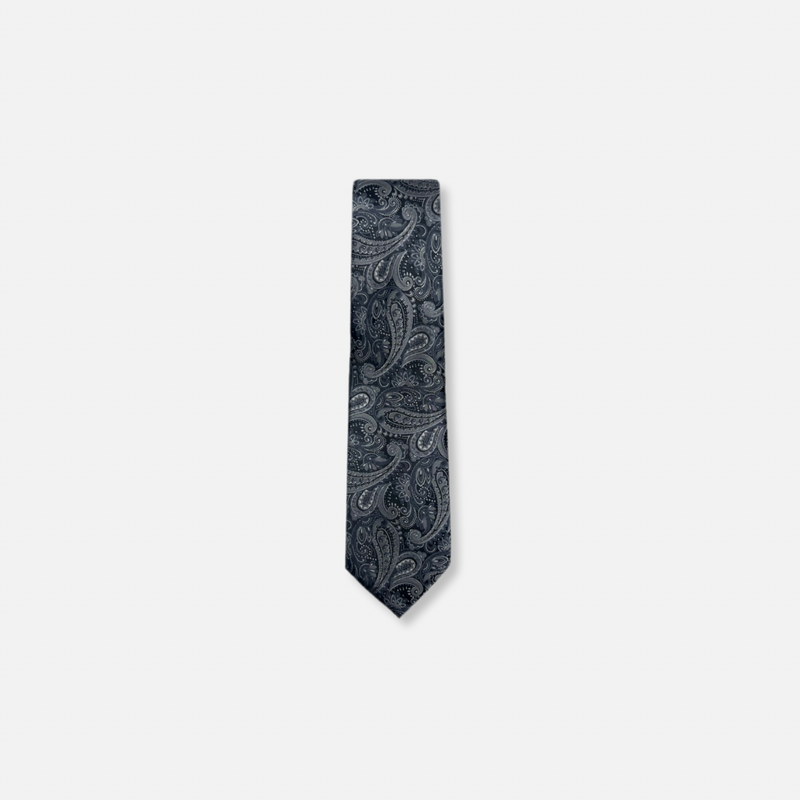 Bagwell Slim Paisley Tie