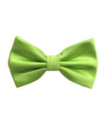 Ben Solid Bow Tie