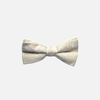 Stuart Paisley Bow Tie