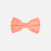 Baris Solid Clip Bow Tie