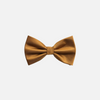 Ben Solid Bow Tie