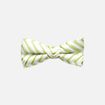 Seneca Striped Bow Tie