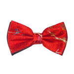 Everardo Floral Bow Tie