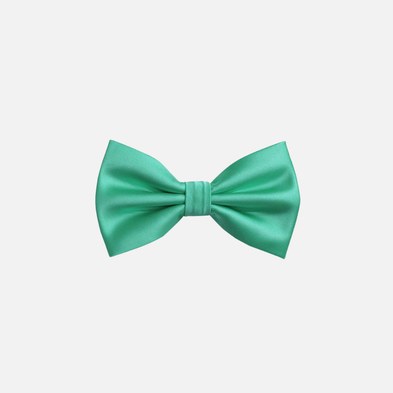 Ben Solid Bow Tie