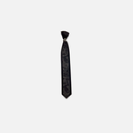 Salvani Paisley Cravat Tie
