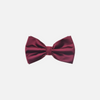 Ben Solid Bow Tie - New Edition Fashion