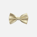 Ben Solid Bow Tie